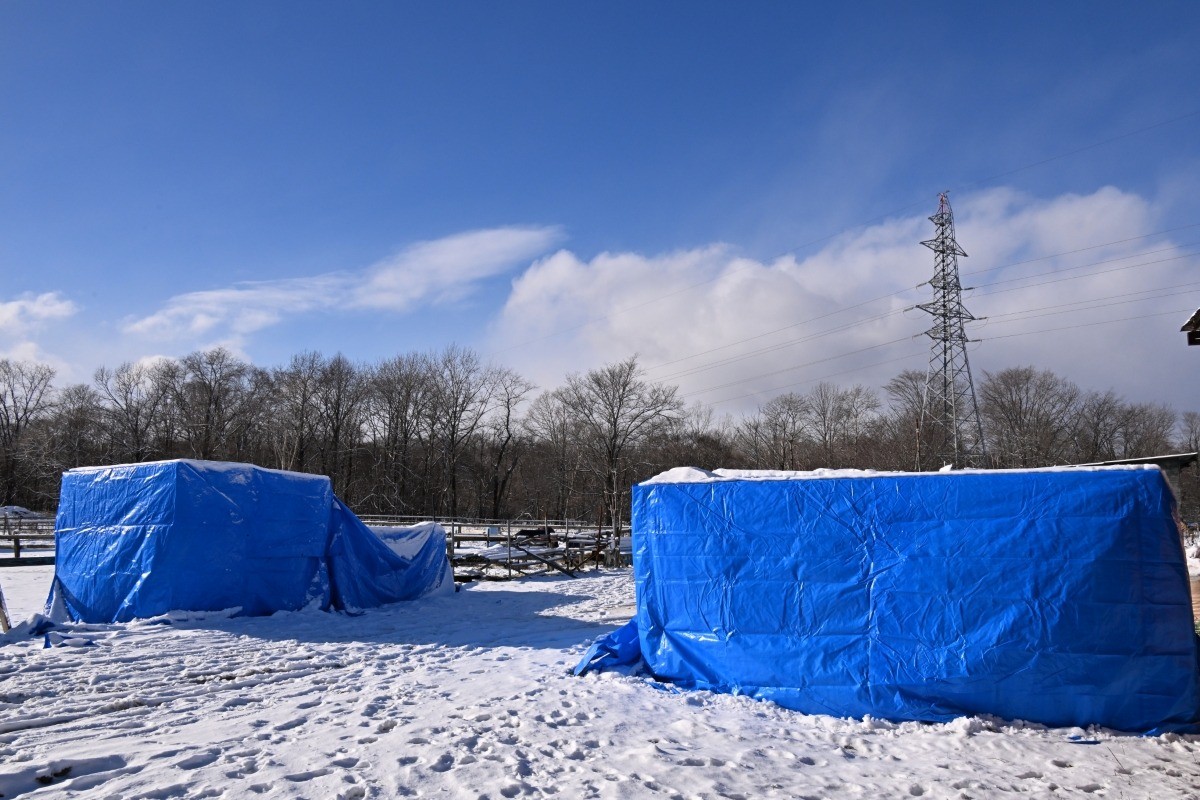 b088064d161944abad96a7be34aa6d90-1765911312.jpg b088064d161944abad96a7be34aa6d90-1765911312.jpg